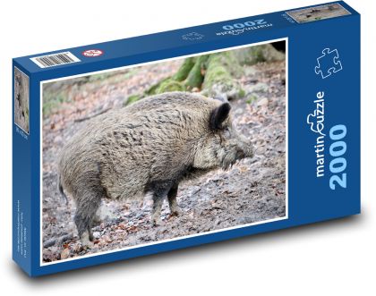 Wild boar - wild pig, animal - Puzzle 2000 pieces, size 90x60 cm 