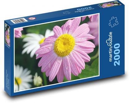 Chryzantema - różowy kwiat, kwiat - Puzzle 2000 elementów, rozmiar 90x60 cm