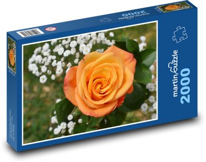Oranžová růže - květ, květina - Puzzle 2000 dílků, rozměr 90x60 cm