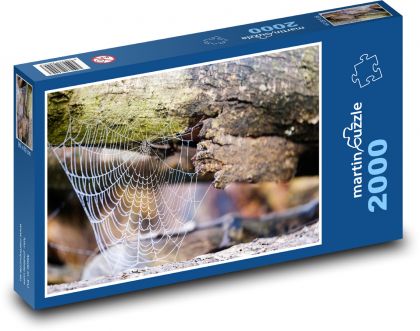 Pavučina - ranná rosa, kmeň stromu - Puzzle 2000 dielikov, rozmer 90x60 cm 