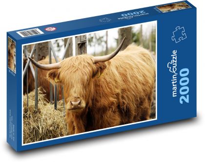 Krava - voľne žijúcich živočíchov, farma - Puzzle 2000 dielikov, rozmer 90x60 cm 