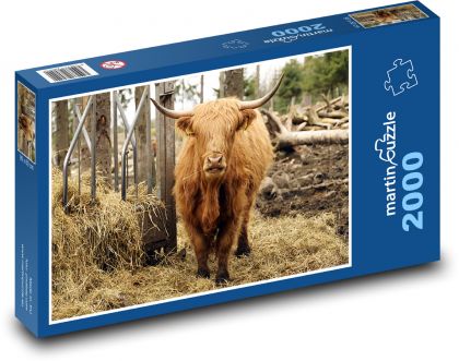 Kráva - rohy, farma - Puzzle 2000 dílků, rozměr 90x60 cm