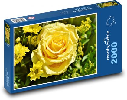 Žlutá růže - květ, rostlina - Puzzle 2000 dílků, rozměr 90x60 cm