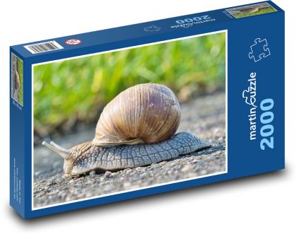 Slimák - mäkkýš, škrupina - Puzzle 2000 dielikov, rozmer 90x60 cm 