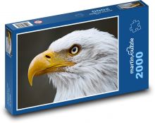 Orol bielohlavý - vták, zviera Puzzle 2000 dielikov - 90 x 60 cm