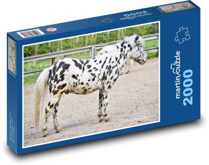 Pony - kleines Pferd, Tier - Puzzle - 2000 Teile