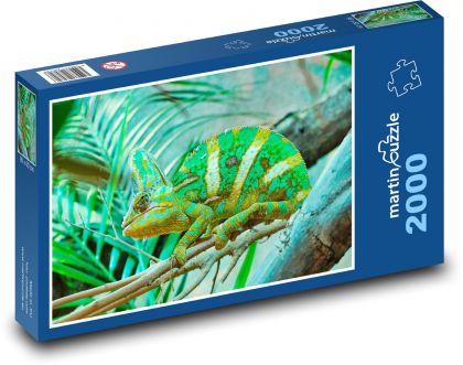 Chameleón - terárium, plaz - Puzzle 2000 dielikov, rozmer 90x60 cm 