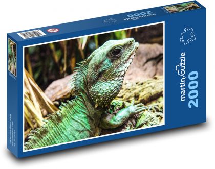 Chameleon - plaz, zvíře - Puzzle 2000 dílků, rozměr 90x60 cm