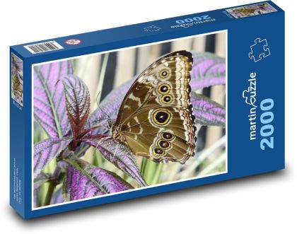 Butterfly - insects, plants - Puzzle 2000 pieces, size 90x60 cm 