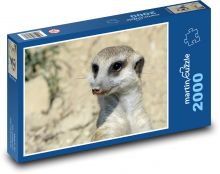 Surikata - animal, zoo Puzzle 2000 pieces - 90 x 60 cm