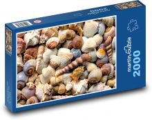 Muscheln - Muscheln, Meer Puzzle 2000 Teile - 90 x 60 cm