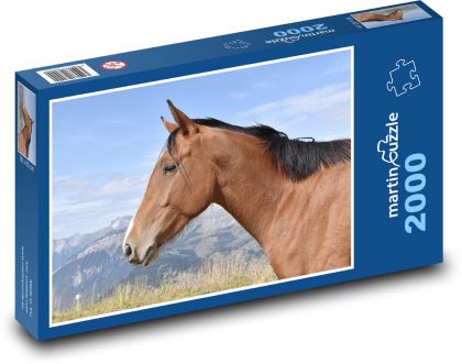 Kůň - zvíře, hříva - Puzzle 2000 dílků, rozměr 90x60 cm