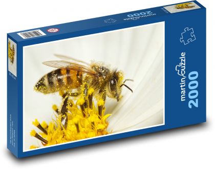 Bestäubung - Biene, Insekt - Puzzle - 2000 Teile