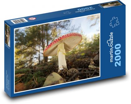Ropucha czerwona - leśna, grzybowa - Puzzle 2000 elementów, rozmiar 90x60 cm