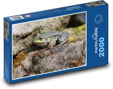 Žába - obojživelník, zvíře Puzzle 2000 dílků - 90 x 60 cm