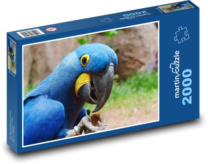 Modrý papoušek - pták, zvíře - Puzzle 2000 dílků, rozměr 90x60 cm