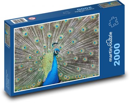 Pfau - Feder, schillernder Vogel - Puzzle - 2000 Teile