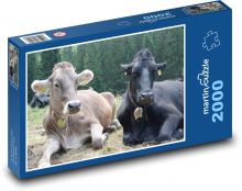 Krávy - hovězí dobytek, farma Puzzle 2000 - 90x60 cm