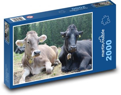 Kravy - dobytok, farma - Puzzle 2000 dielikov, rozmer 90x60 cm 