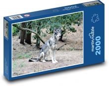 Vlk - zvíře, les Puzzle 2000 dílků - 90 x 60 cm