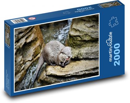 Wydra - zwierzę, drapieżnik - Puzzle 2000 elementów, rozmiar 90x60 cm