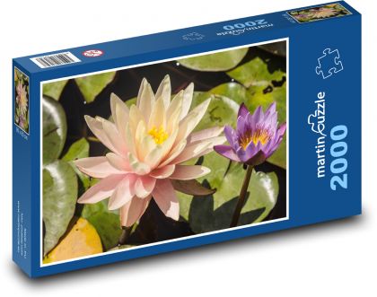 Ľalie - kvet, rybník - Puzzle 2000 dielikov, rozmer 90x60 cm 