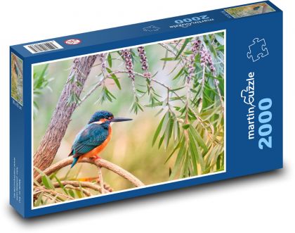 Ledňáček - pták, příroda - puzzle 2000 dílků