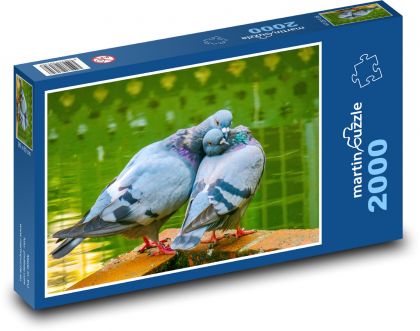 Holuby - vtáky, pár - Puzzle 2000 dielikov, rozmer 90x60 cm 