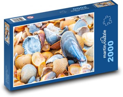 Shells - shellfish, sea - Puzzle 2000 pieces, size 90x60 cm 