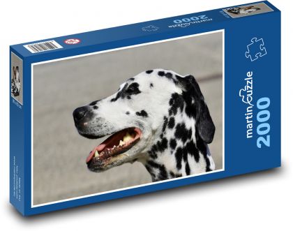 Pies - dalmatyńczyk, zwierzę domowe - Puzzle 2000 elementów, rozmiar 90x60 cm