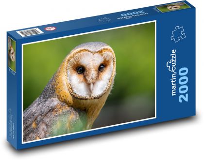 Spálená sova - predátor, vták - Puzzle 2000 dielikov, rozmer 90x60 cm 
