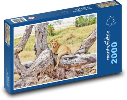 Lioness - Tanzania, safari - Puzzle 2000 elementów, rozmiar 90x60 cm