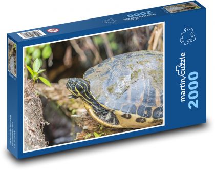Korytnačka - plaz, zviera - Puzzle 2000 dielikov, rozmer 90x60 cm 