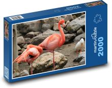 Flamingos - Vögel, Tiere Puzzle 2000 Teile - 90 x 60 cm