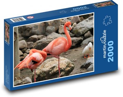 Plameňáci - ptáci, zvířata - Puzzle 2000 dílků, rozměr 90x60 cm