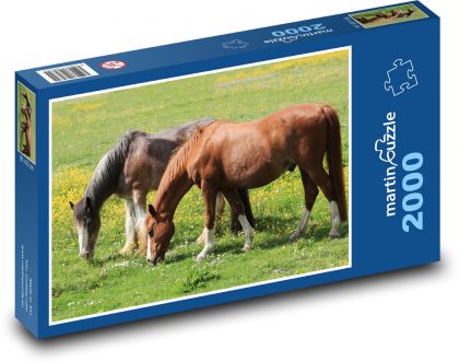 Kůň - pastvina, zvíře - Puzzle 2000 dílků, rozměr 90x60 cm