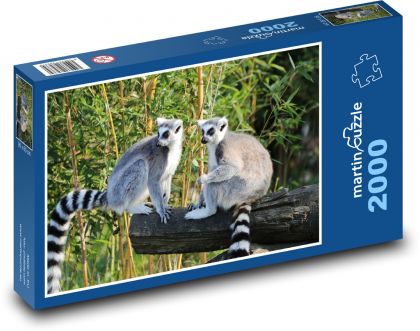 Lemur - Madagaskar, Affe - Puzzle - 2000 Teile