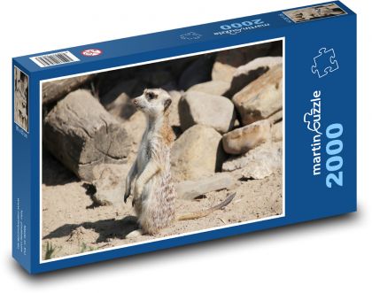 Surikata - zvíře, savec - Puzzle 2000 dílků, rozměr 90x60 cm