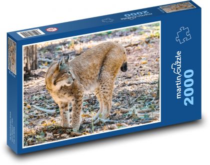 Lynx - big cat, animal - Puzzle 2000 pieces, size 90x60 cm 