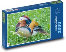 Mandarinská kachna - zvíře, pták Puzzle 2000 dílků - 90 x 60 cm