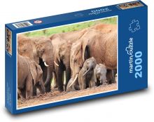 Slony - stádo zvierat, savana Puzzle 2000 dielikov - 90 x 60 cm