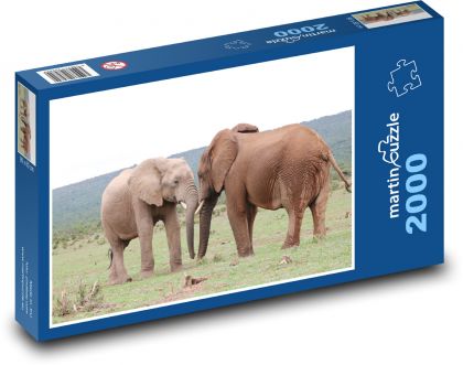 Slony - Afrika, Safari - Puzzle 2000 dielikov, rozmer 90x60 cm 