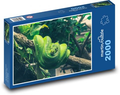 Krajta na stromě - zvíře, had - Puzzle 2000 dílků, rozměr 90x60 cm