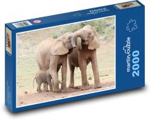 Elephants - Elephant, Safari Puzzle 2000 pieces - 90 x 60 cm
