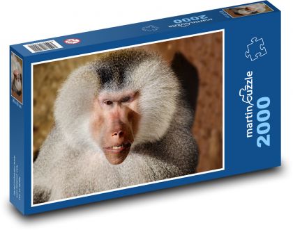 Pavián - zvíře, opice  - Puzzle 2000 dílků, rozměr 90x60 cm