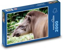 Tapír - zvíře, Jižní Amerika Puzzle 2000 dílků - 90 x 60 cm