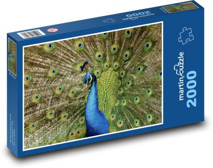 Páv - pták, paví peří - Puzzle 2000 dílků, rozměr 90x60 cm