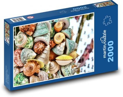 Mušle - mäkkýše, morské - Puzzle 2000 dielikov, rozmer 90x60 cm 