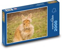 Králik - domáce zviera, zviera Puzzle 2000 dielikov - 90 x 60 cm