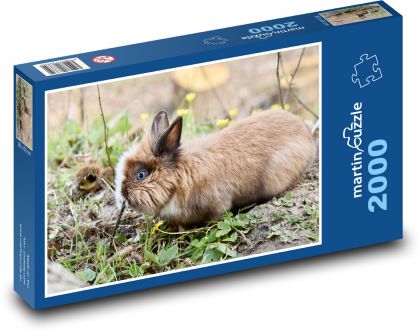 Trpasličí králik - cicavec, bylinožravec - Puzzle 2000 dielikov, rozmer 90x60 cm 